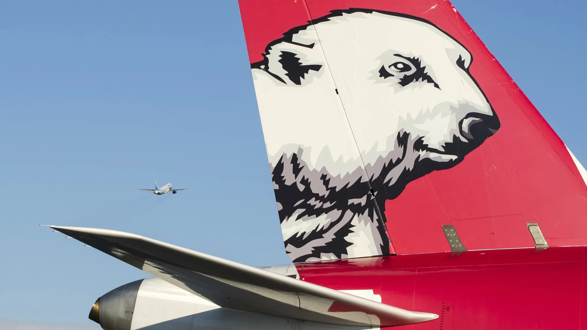 На авиарейсы в Минводы открыты дополнительные продажи билетов. Фото: авиакомпания «Ямал»