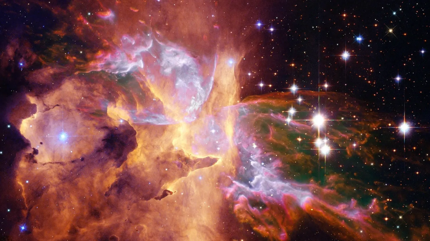 Фото: Outer Space / shutterstock.com