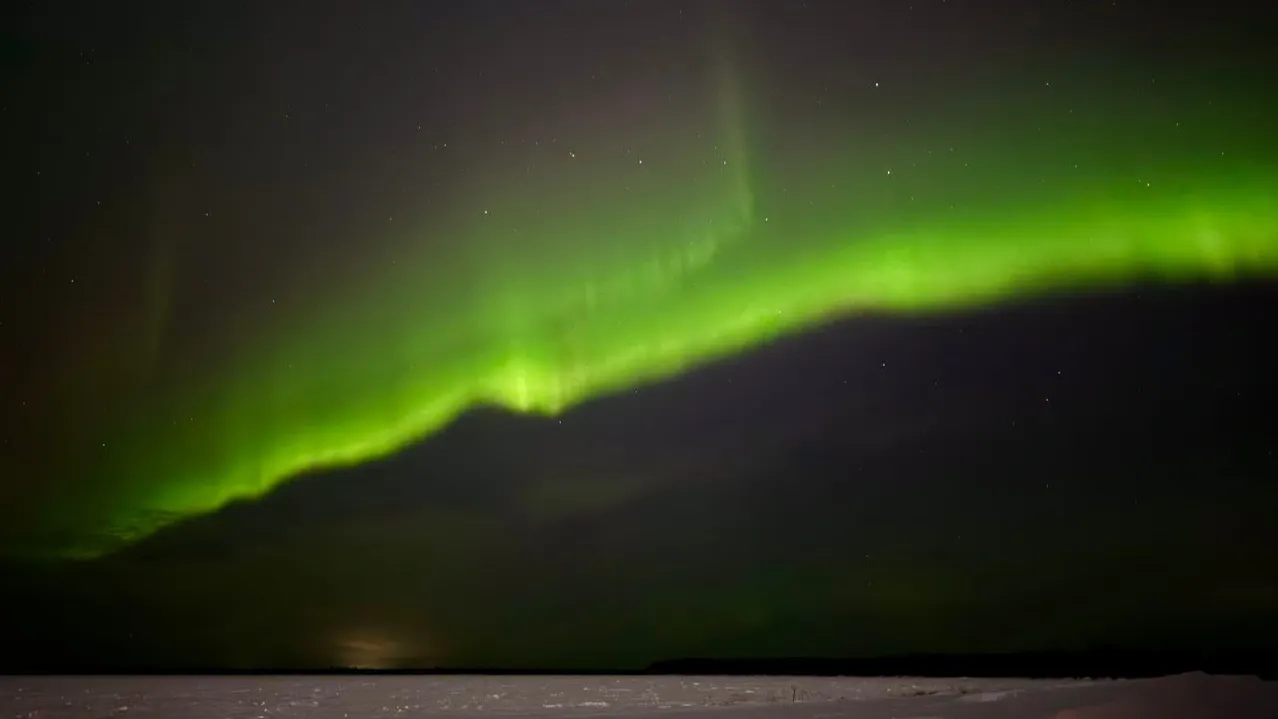 Северное сияние в ночь на 25 ноября в небе над Ноябрьском. Фото: t.me/romanovblog