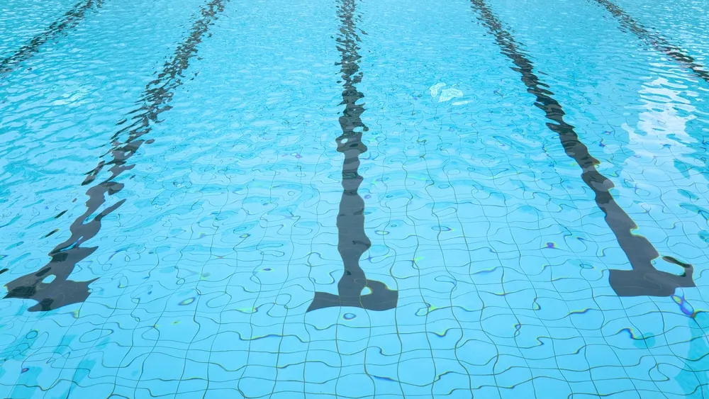 ото: Tom Wang/shutterstock