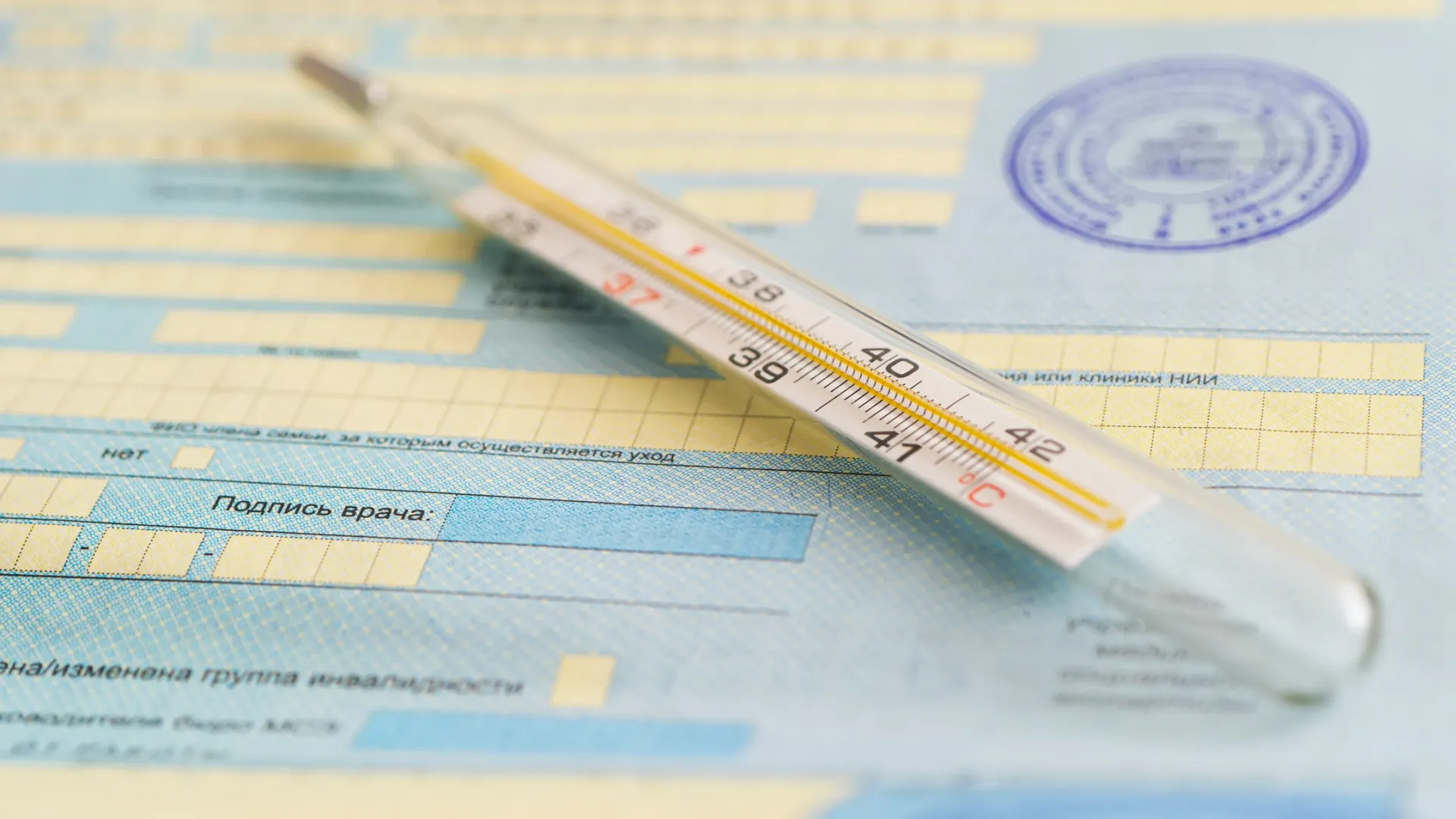 Фото: Melnikov Dmitriy / Shutterstock / Fotodom