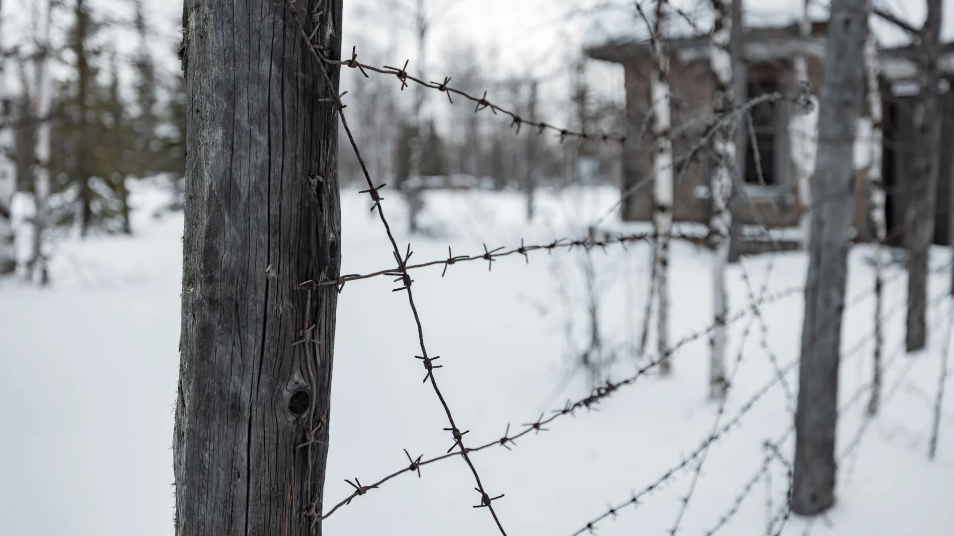 Фото: Сергей Зубков / "Ямал-Медиа"