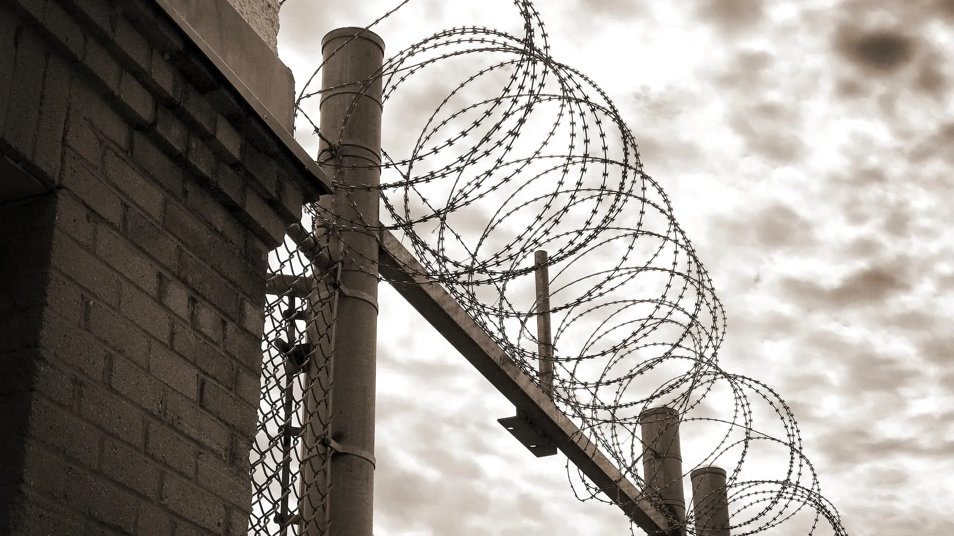 Фото: Catherine Anne Thomas / Shutterstock / Fotodom