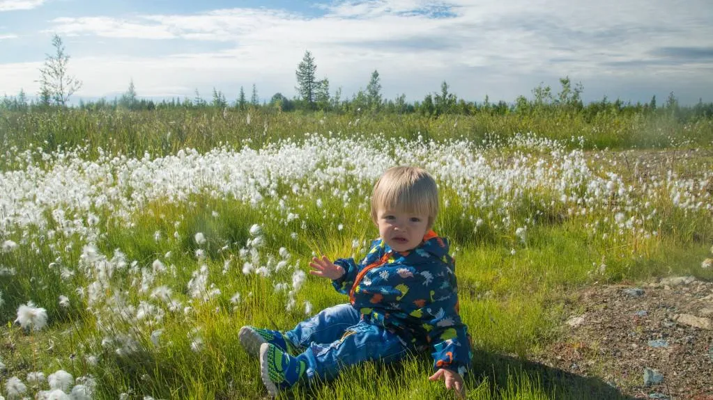 Фото: Анна Чернова / «Красный Север»