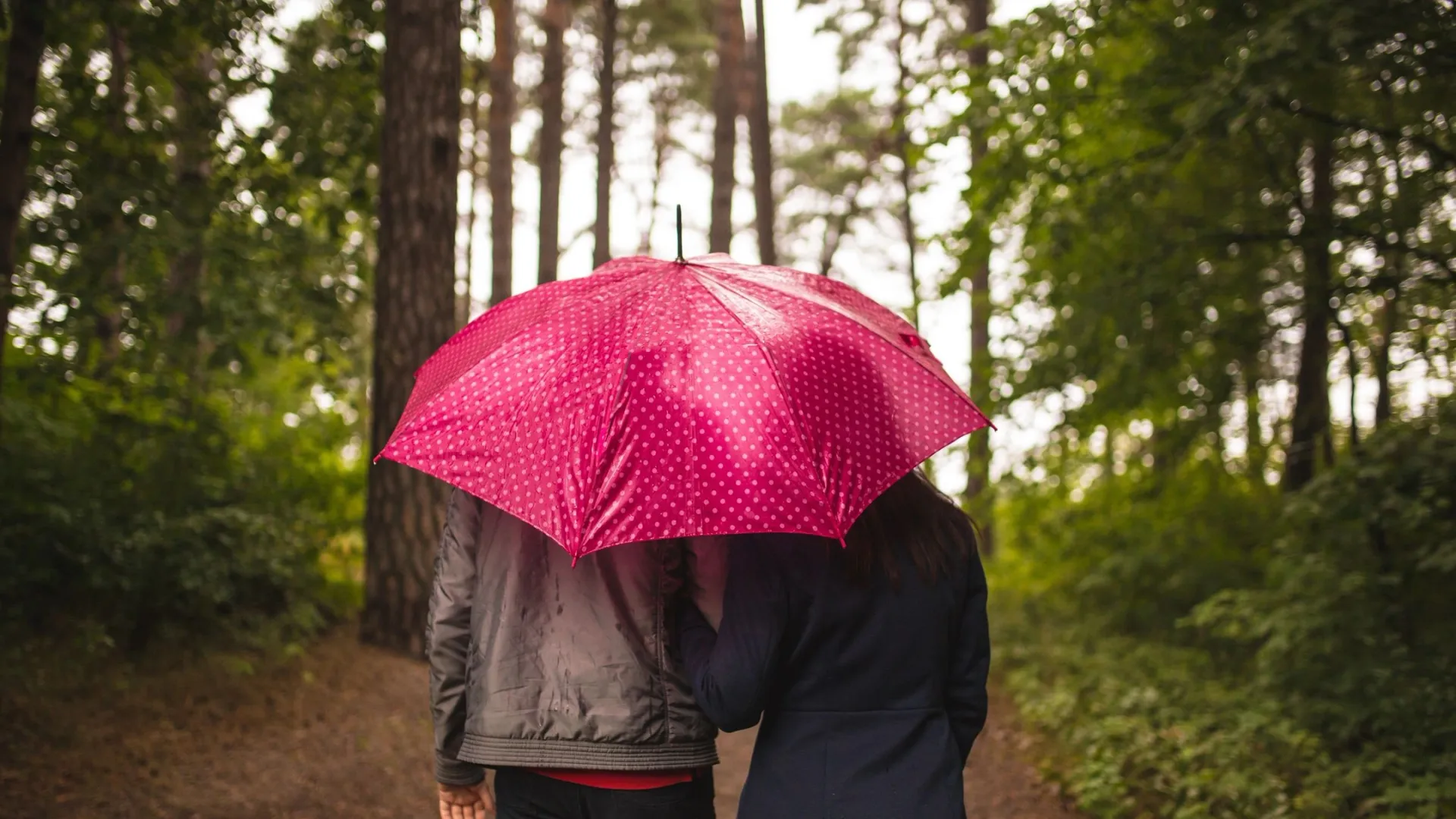 Фото: Kaspars V / shutterstock.com / Fotodom