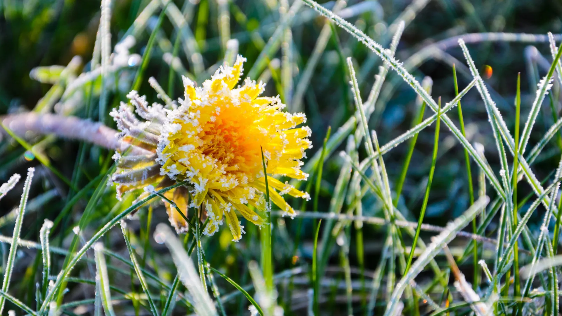 Фото: V_Sot_Visual_Content / Shutterstock / Fotodom
