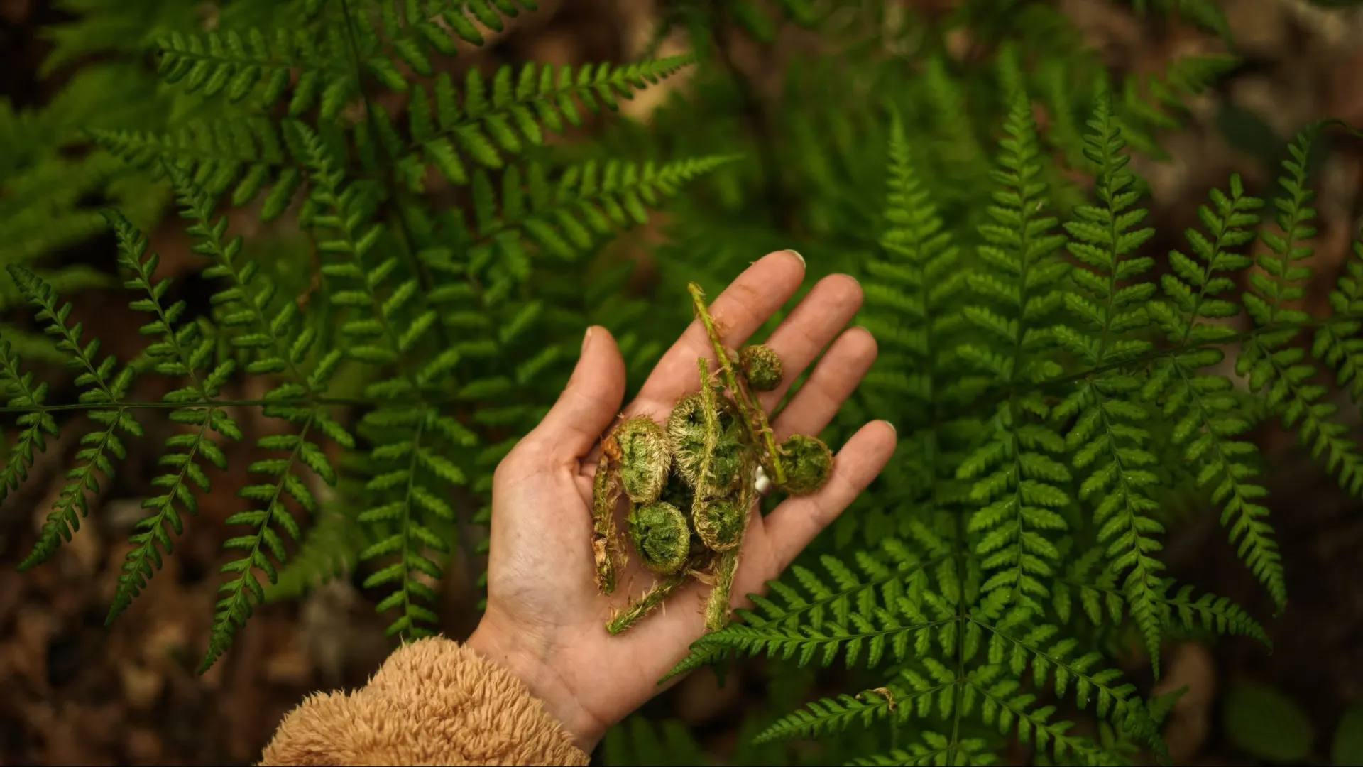 Фото: Simxa / Shutterstock / Fotodom
