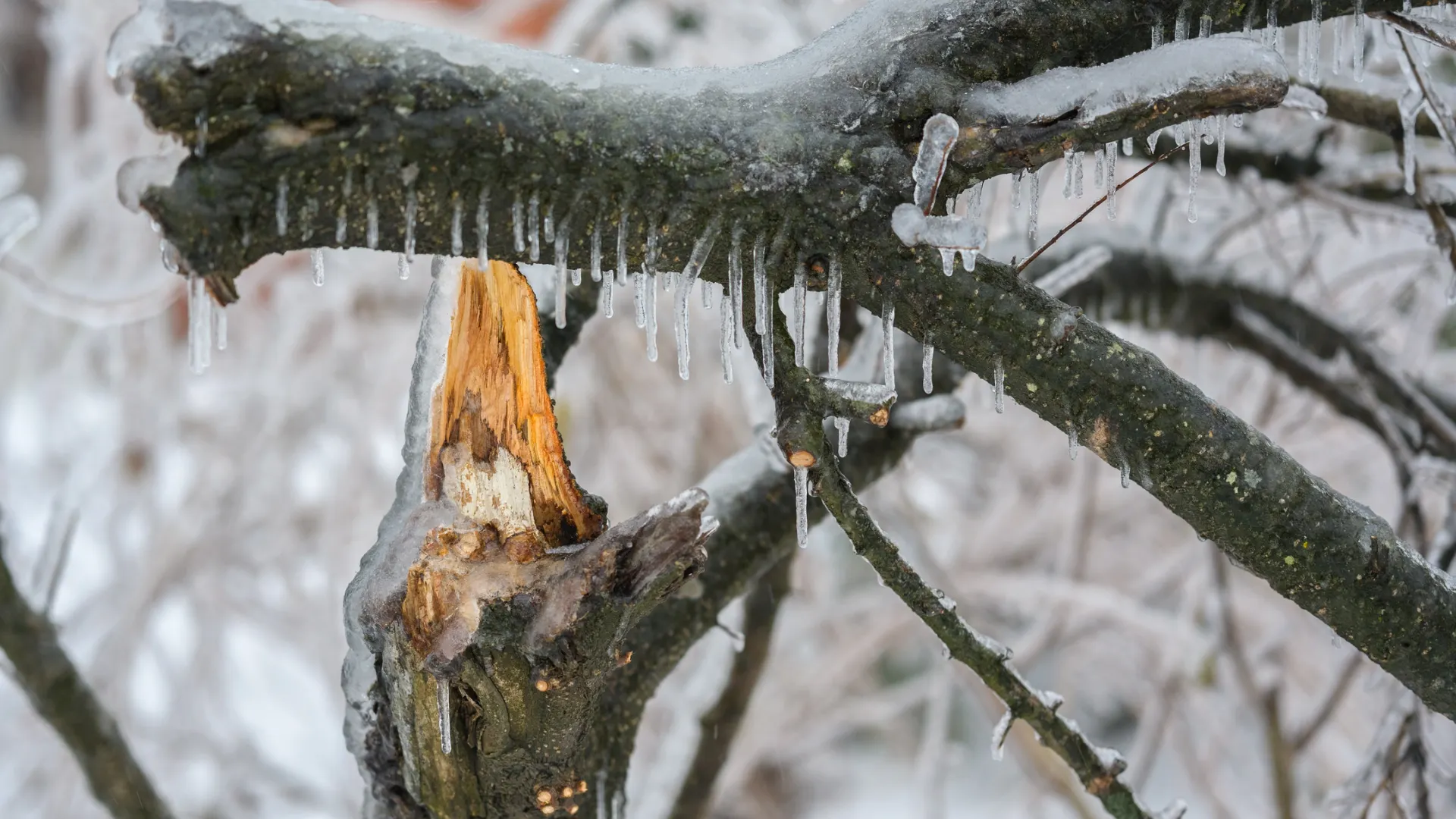Фото: Vladimir Arndt / Shutterstock / Fotodom