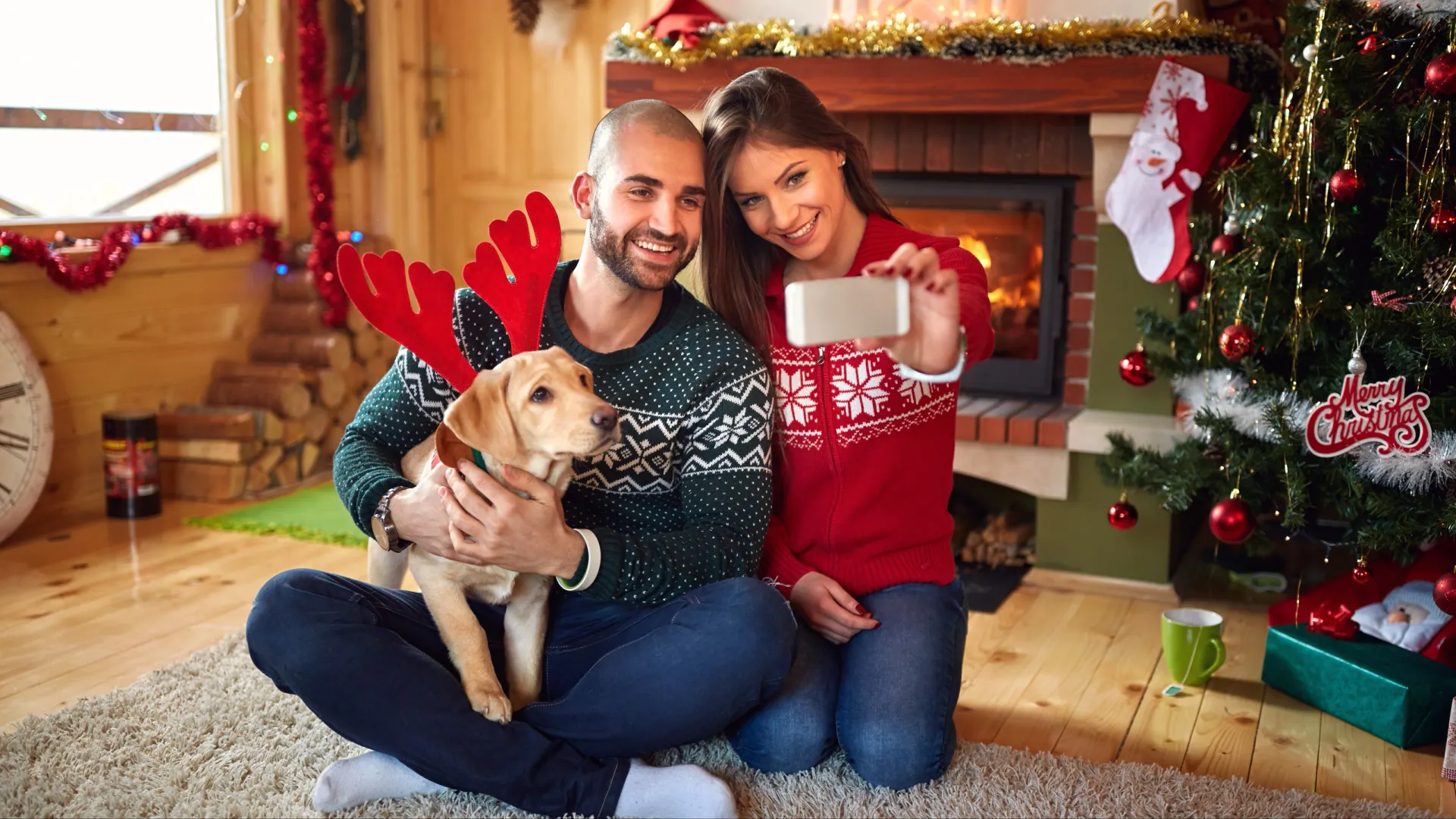 Фото: Lucky Business / Shutterstock / Fotodom