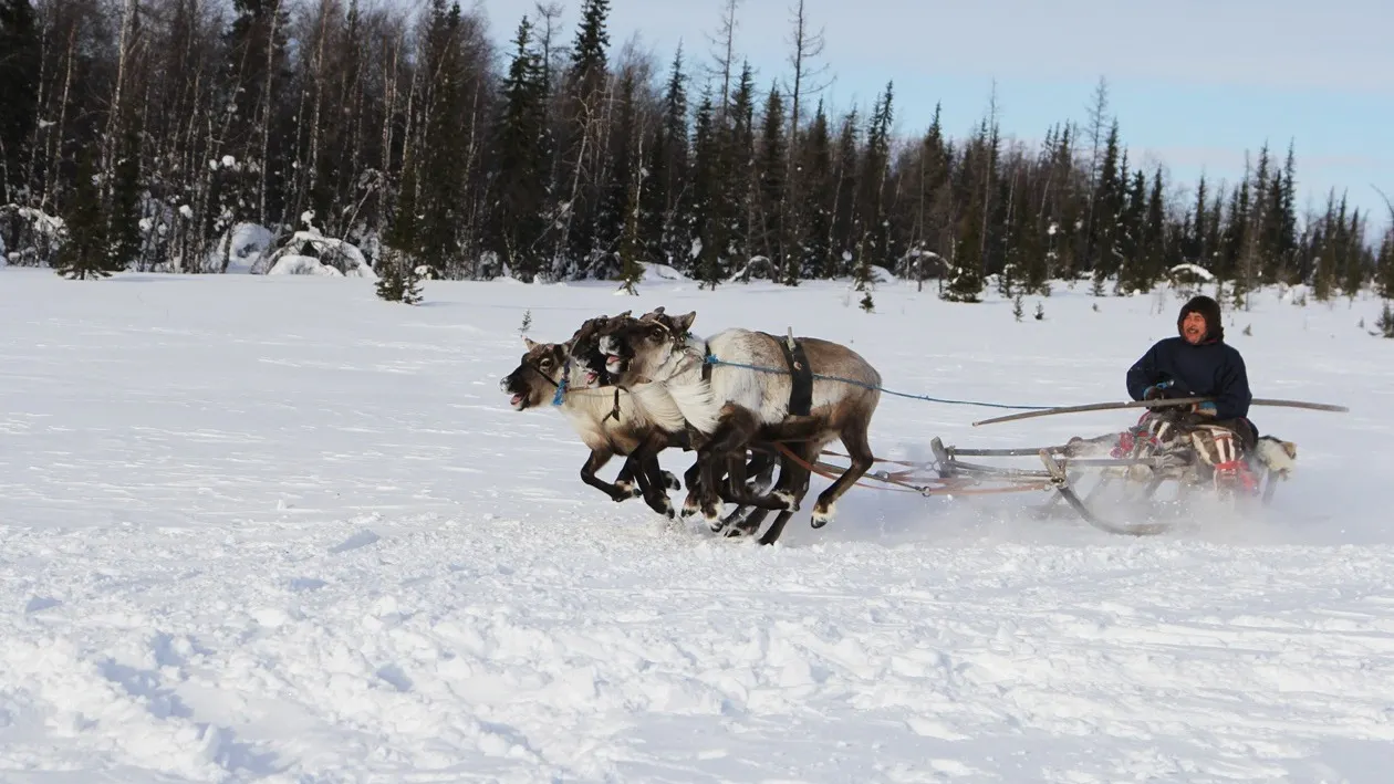 Фото: Марина Яр / Няръяна Ӈэрм