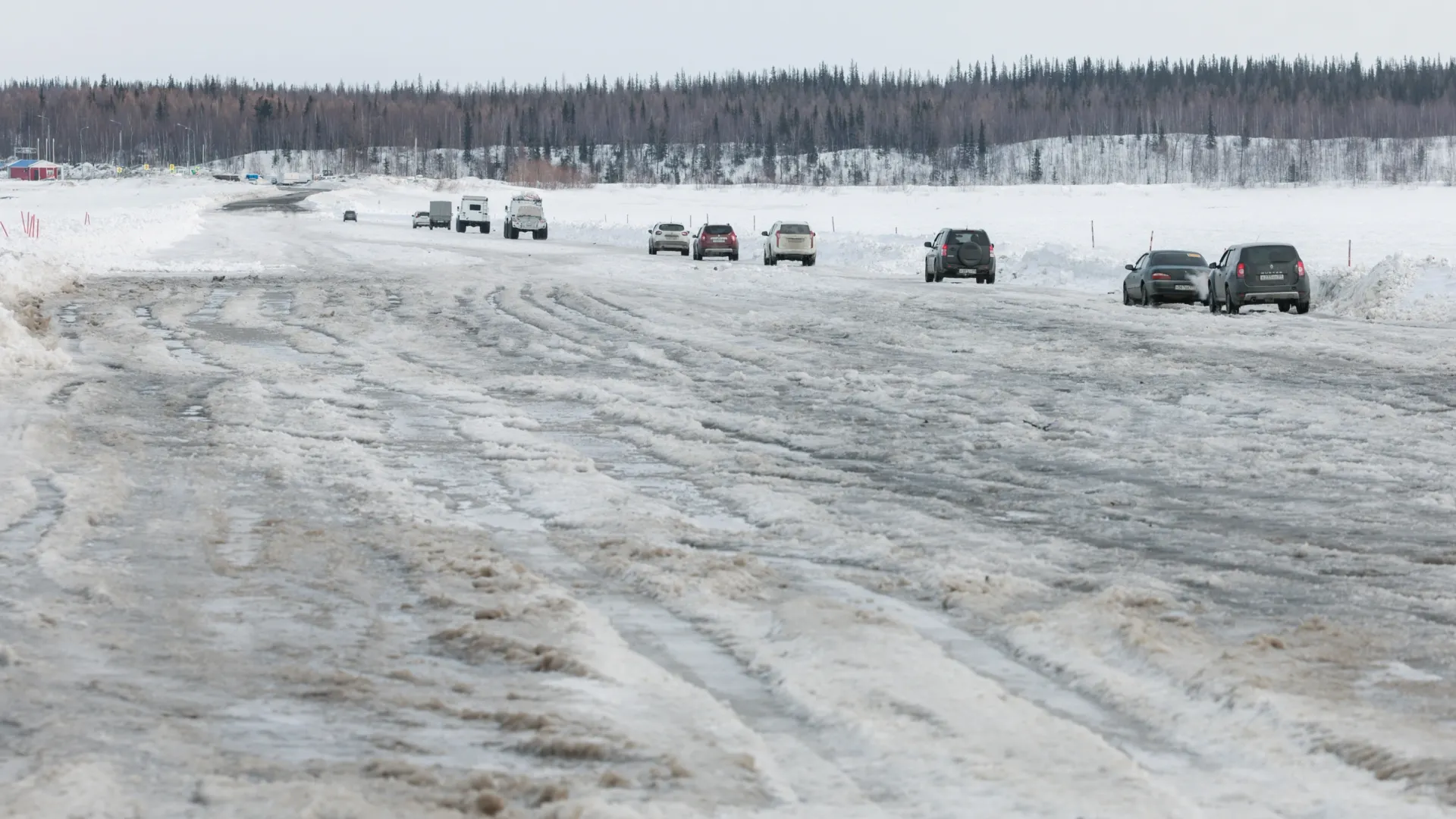 Фото: Юлия Чудинова / «Ямал-Медиа»