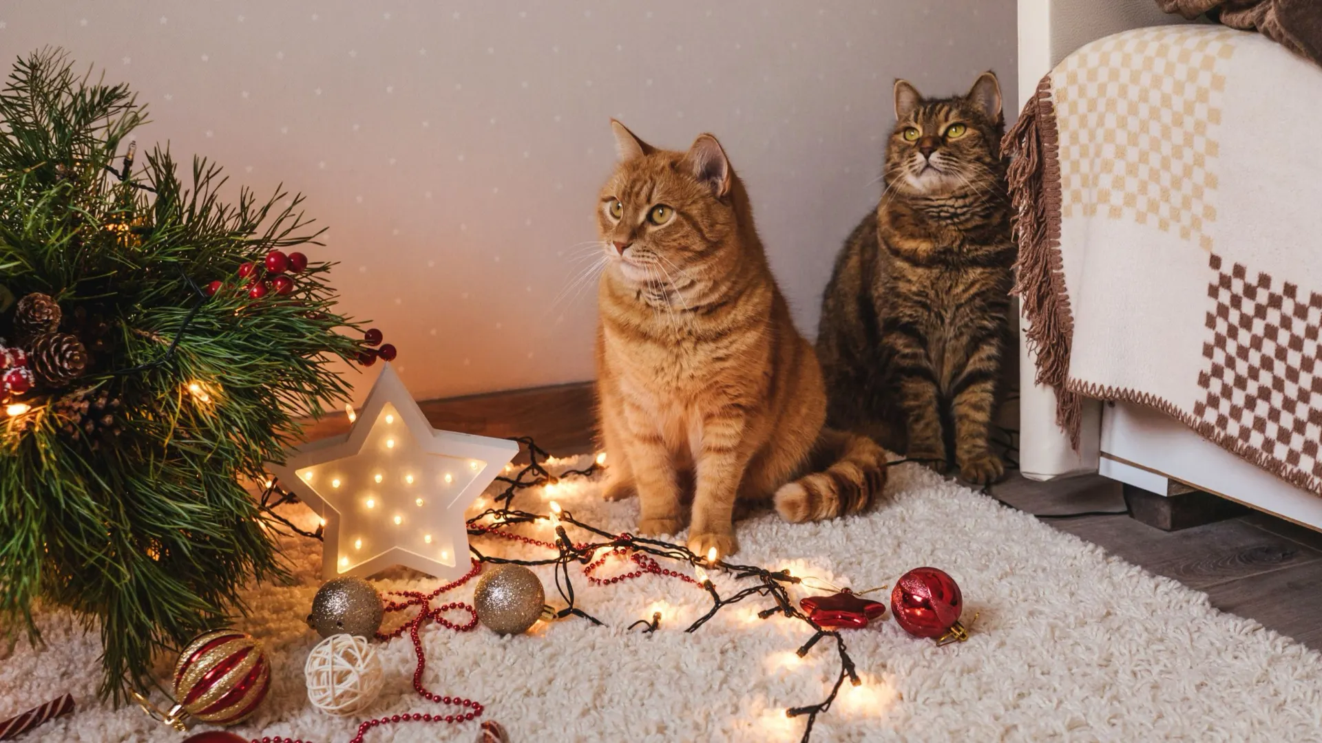 Фото: Tatiana Maksimova / Shutterstock / Fotodom