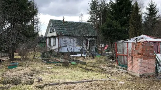 Фото: Ministrator/Shutterstock/Fotodom