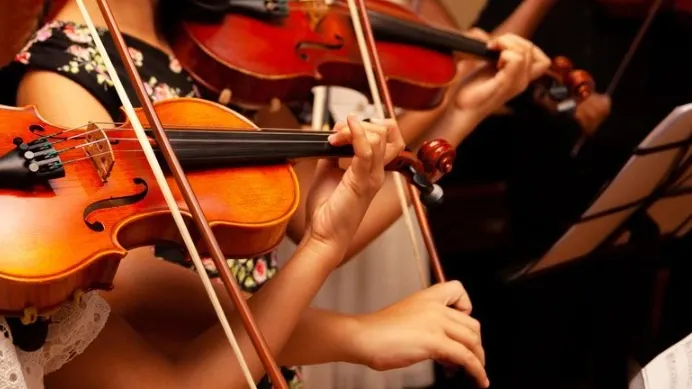 Фото: tomeqs/Shutterstock/Fotodom