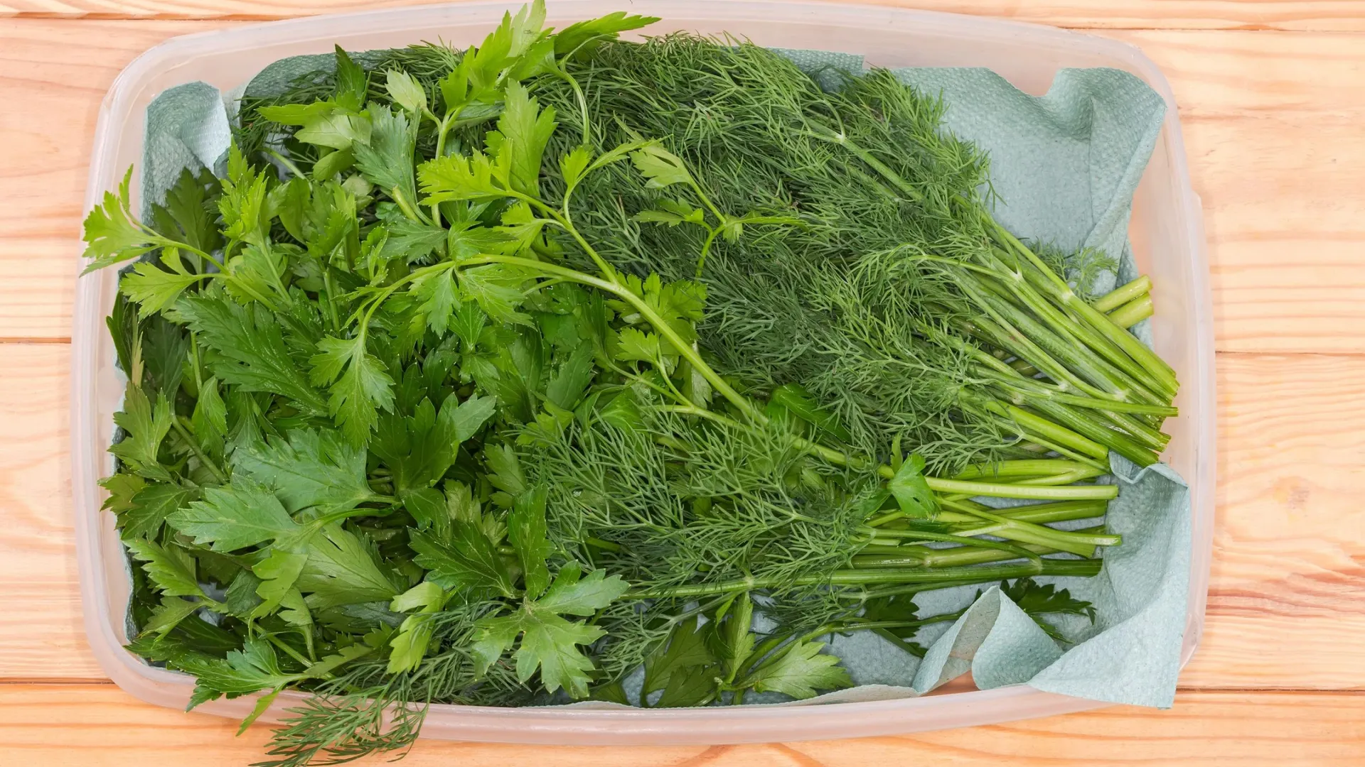 Фото: anmbph/Shutterstock/Fotodom