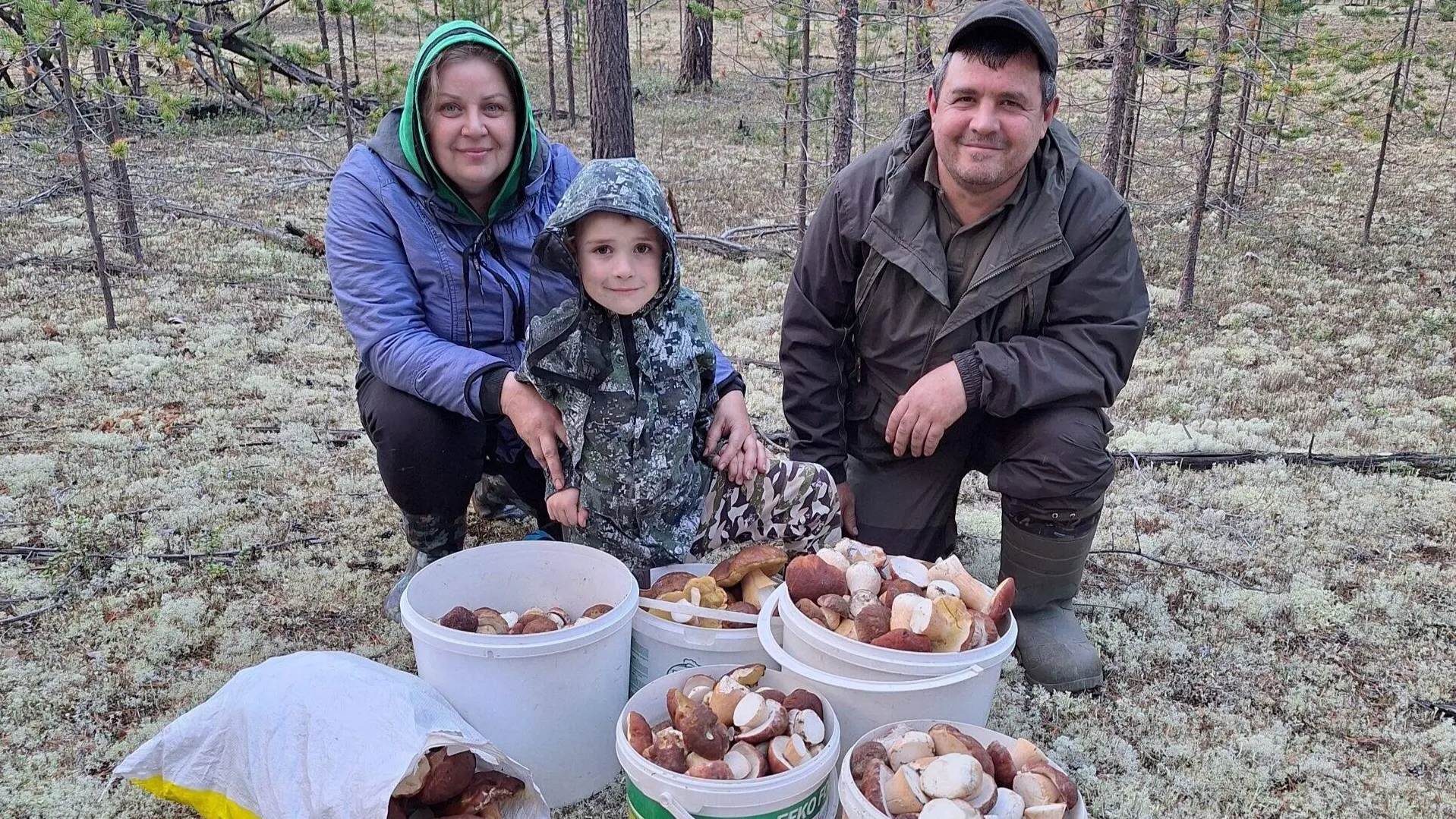 Большие урожаи грибов для ямальцев не редкость. Фото: из личного архива Татьяны Дротик-Братанич