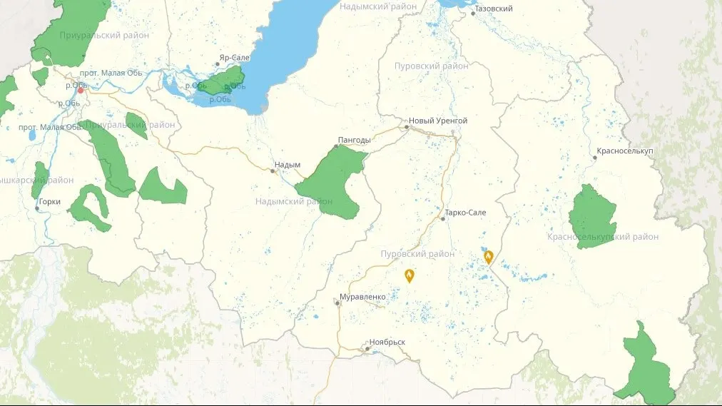 Природные пожары в ЯНАО тушат в двух точках. Фото: телеграм-канал ДГЗ ЯНАО / t.me/dgzipb