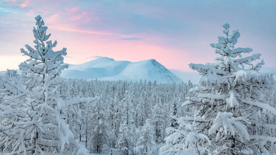 Фото: предоставлено Сергеем Галко