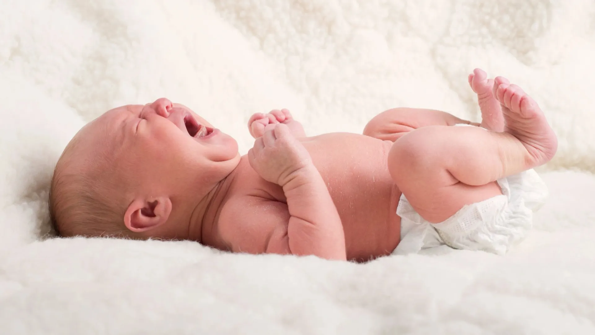 Фото: Jjustas/Shutterstock/Fotodom