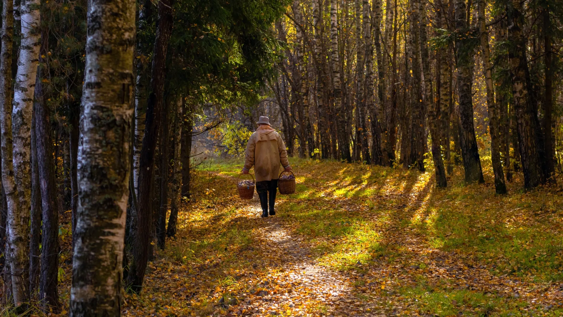 Фото: norikko/ Shutterstock/ Fotodom