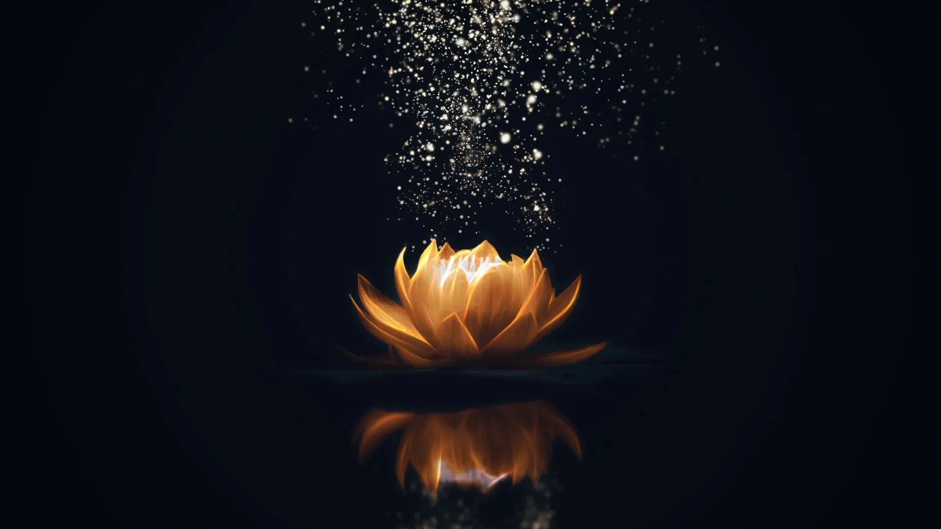 Фото: Marc Andreu / shutterstock.com / Fotodom