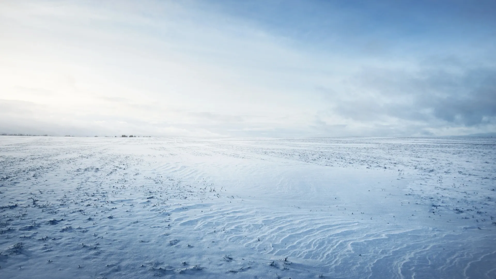 Фото: Aastels / shutterstock.com