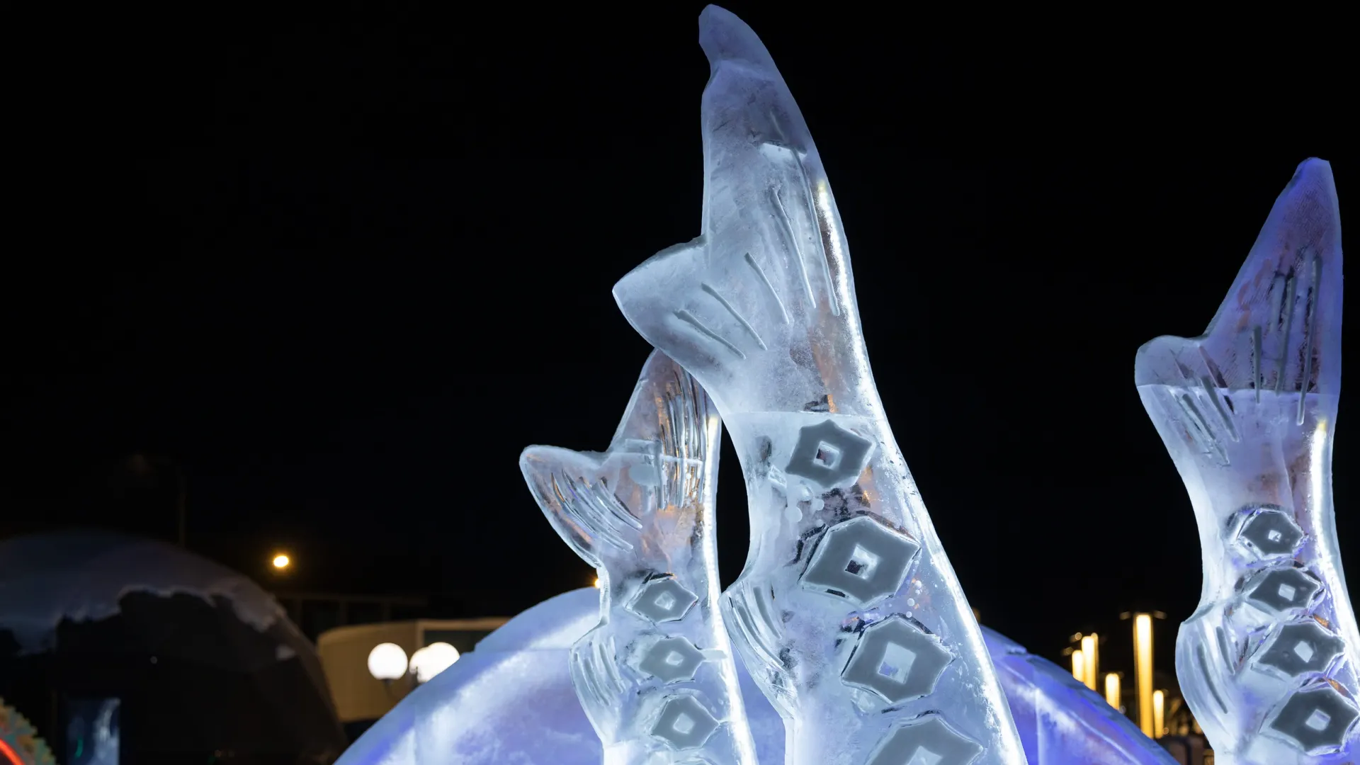 Фото: Фёдор Воронов / «Ямал-Медиа»