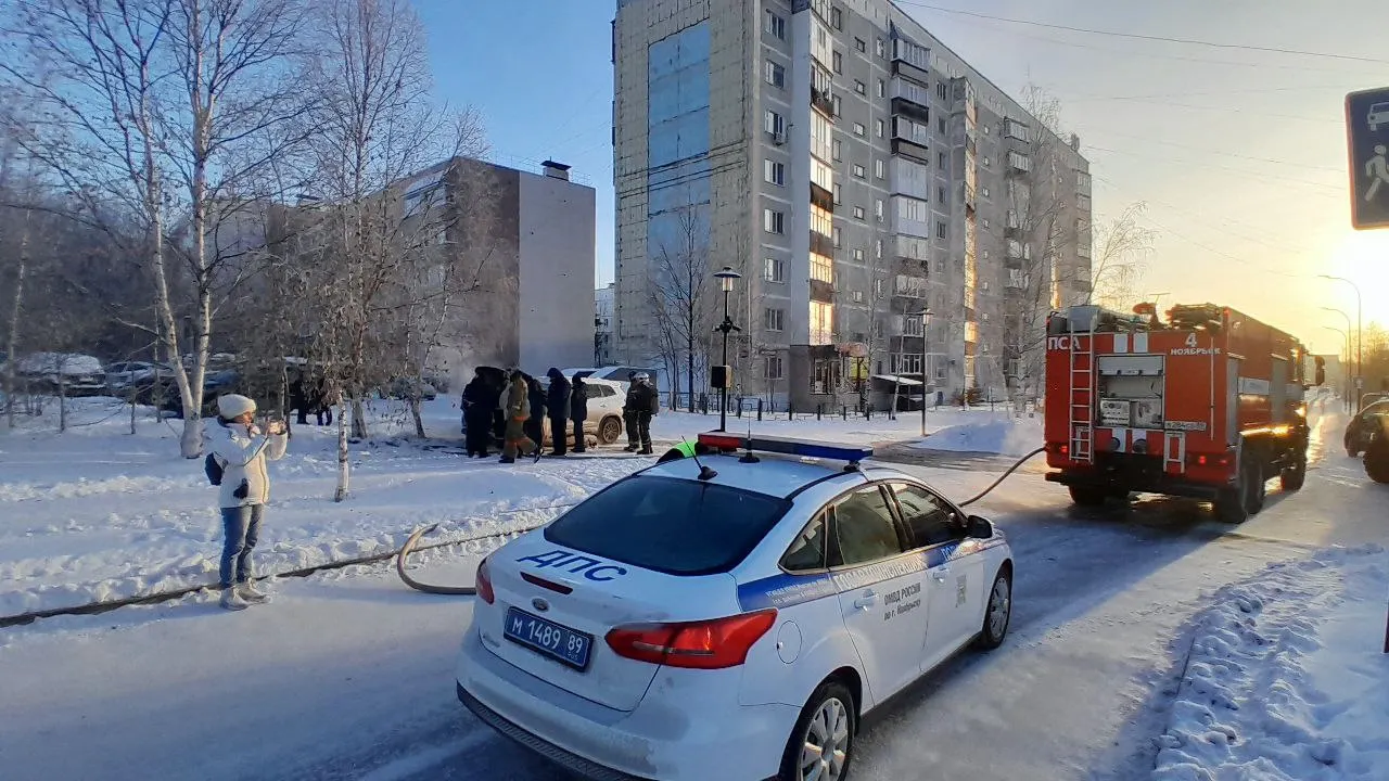 Фото: Роман Лузанов / «Ямал-Медиа»