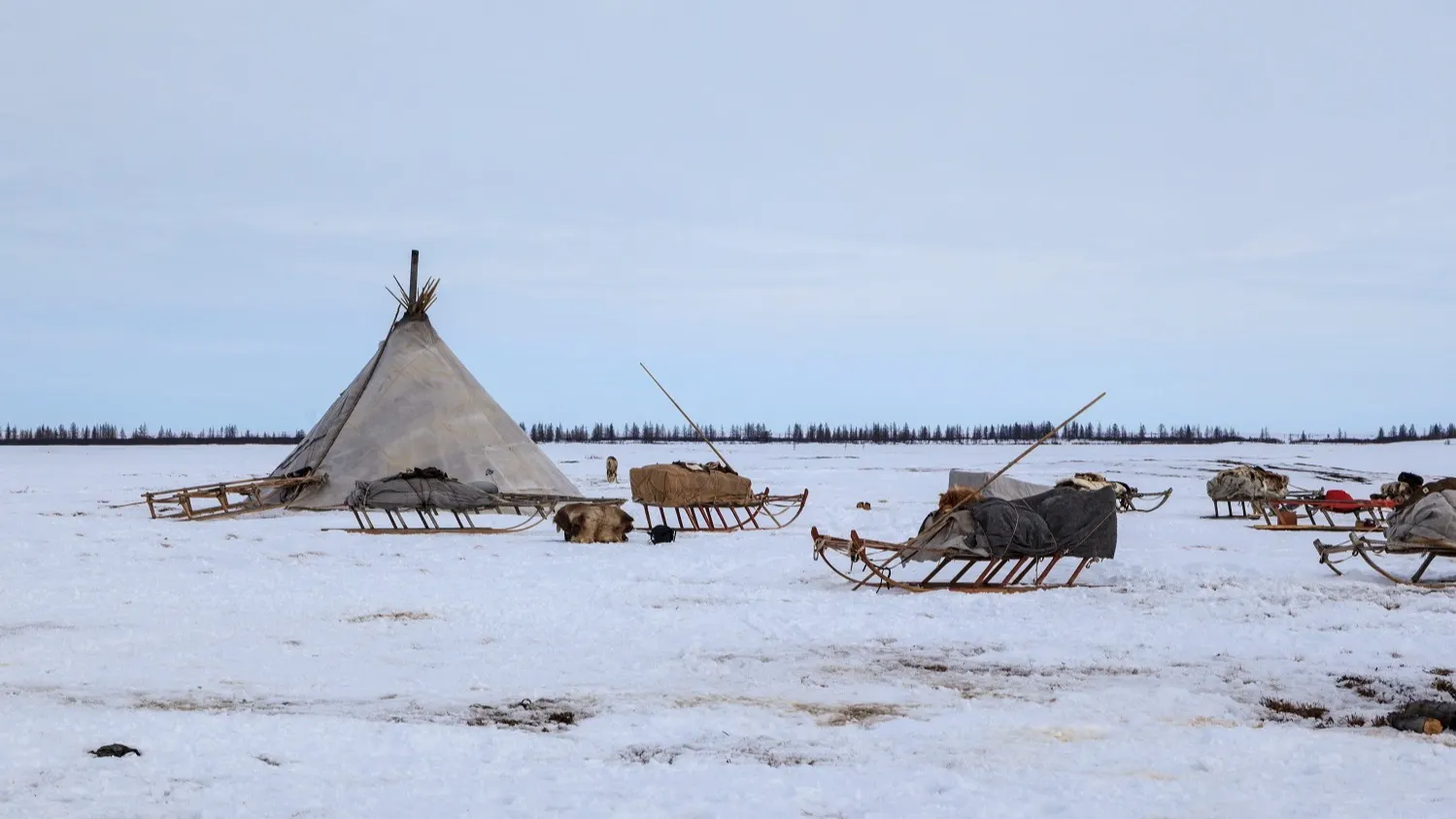 Фото: evgenii mitroshin / shutterstock.com / Fotodom