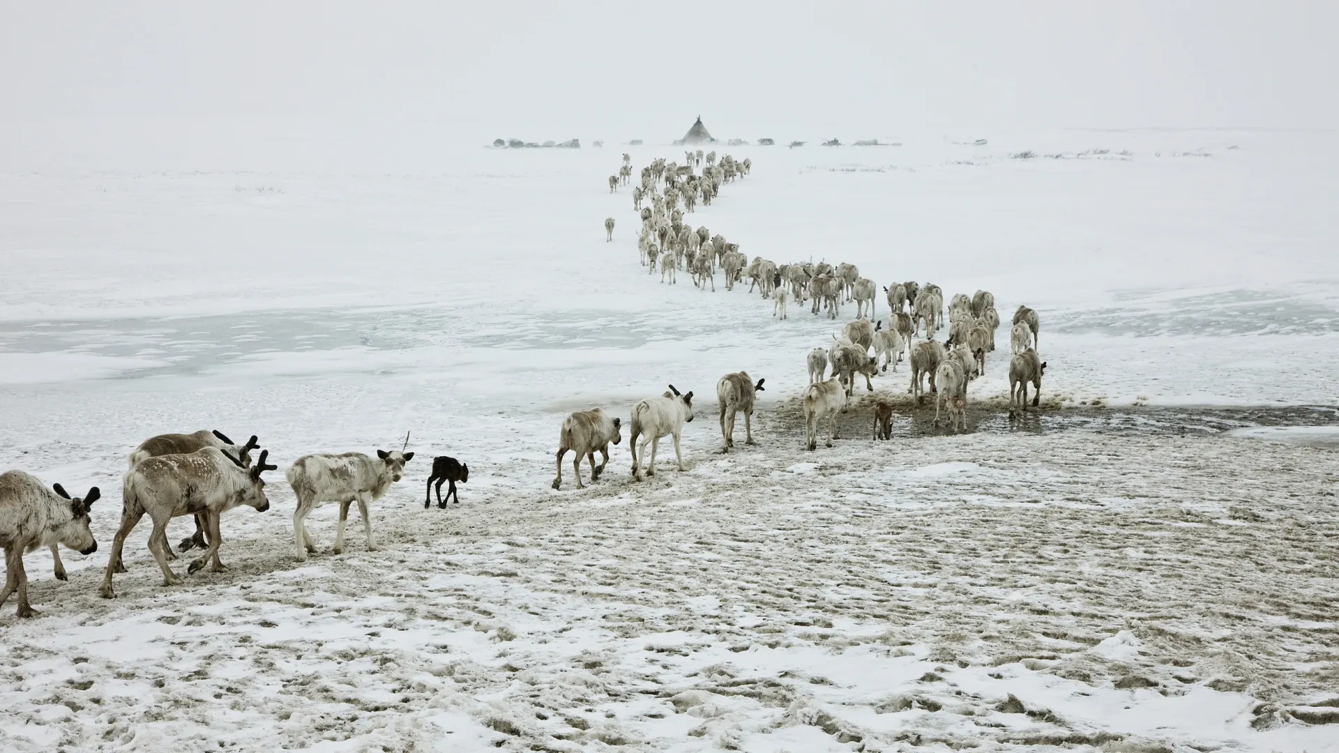 Фото: Anna List / Shutterstock / Fotodom