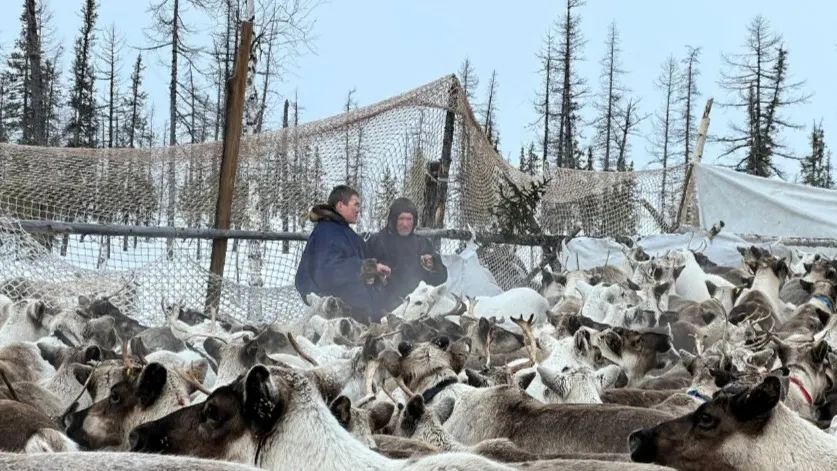 Ты пэртяʼʼ ӈаниʼ лаханаць. Ӈопой хонарковадоʼ Салехардахад Аксаркаʼ ӈэсондʼ ӈэда сехэрыʼ нямна ӈа. Таʼ таняна едэй сехэрымʼ сертаць. Мюсертаʼʼ ненэциеʼʼ тыʼʼ еʼʼэмня мадмʼ нивыʼʼ сертаʼʼ. Ӈэрёʼ таняна тыдоʼ пон вэрамбидонзь. Ваʼʼ нямна ӈока вадамʼ хэтаць. Тикыʼ хавна школанʼ хэвандаʼʼ ӈацекыдоʼ ханзерʼʼ тохолко ӈанэдамбавамдоʼ ӈаниʼ хэтадонзь.                                                             Сидяӈг: М.Яр’ тадтавы            