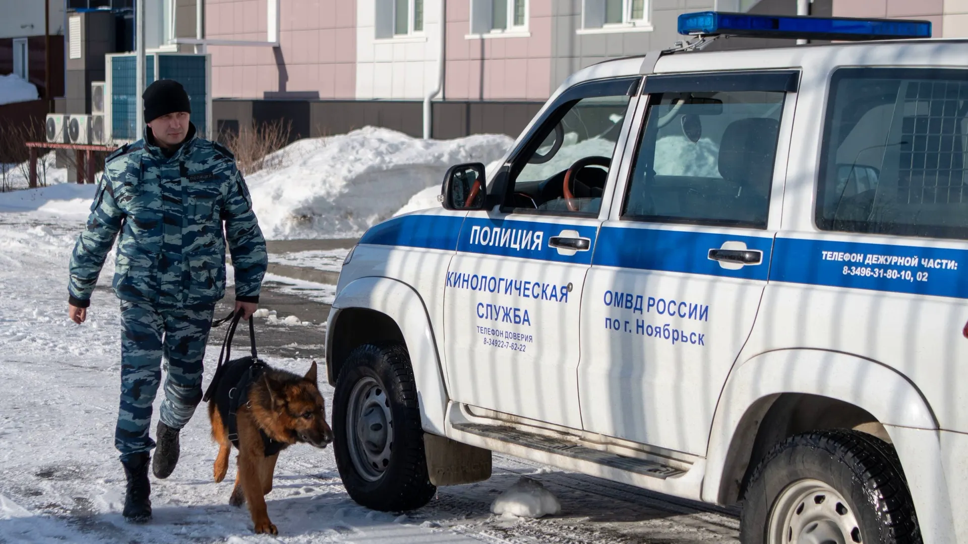 Фото: Юрий Здебский / «Ямал-Медиа»