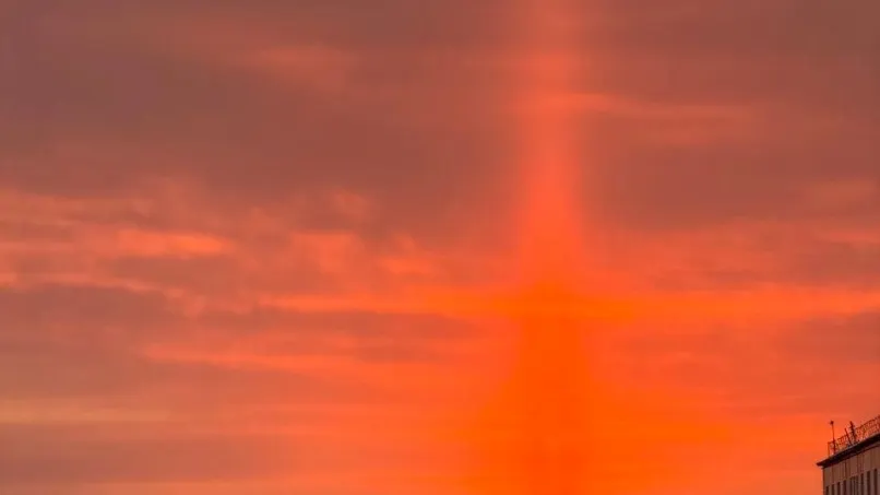 Фото: телеграм-канал Марины Тресковой / t.me/treskova_ma