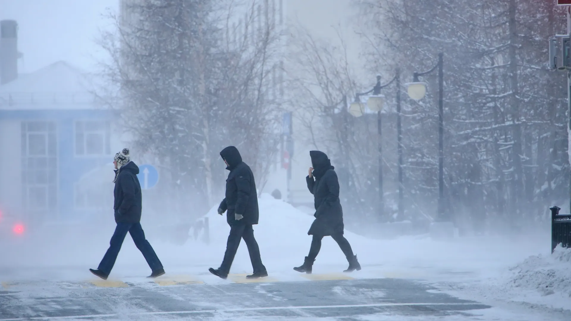 Фото: Василий Петров / «Ямал-Медиа»