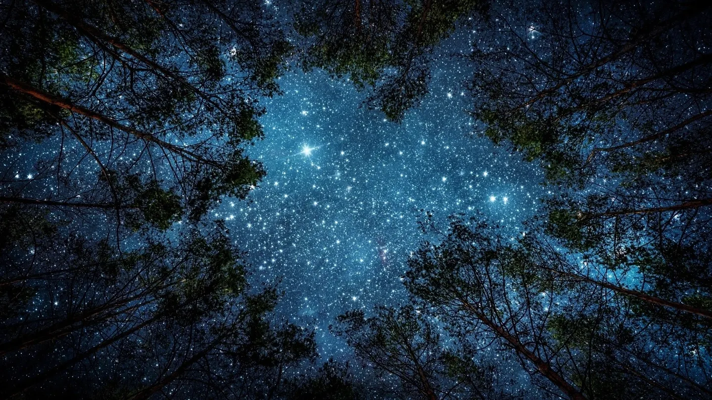 Фото: Triff / shutterstock.com / Fotodom