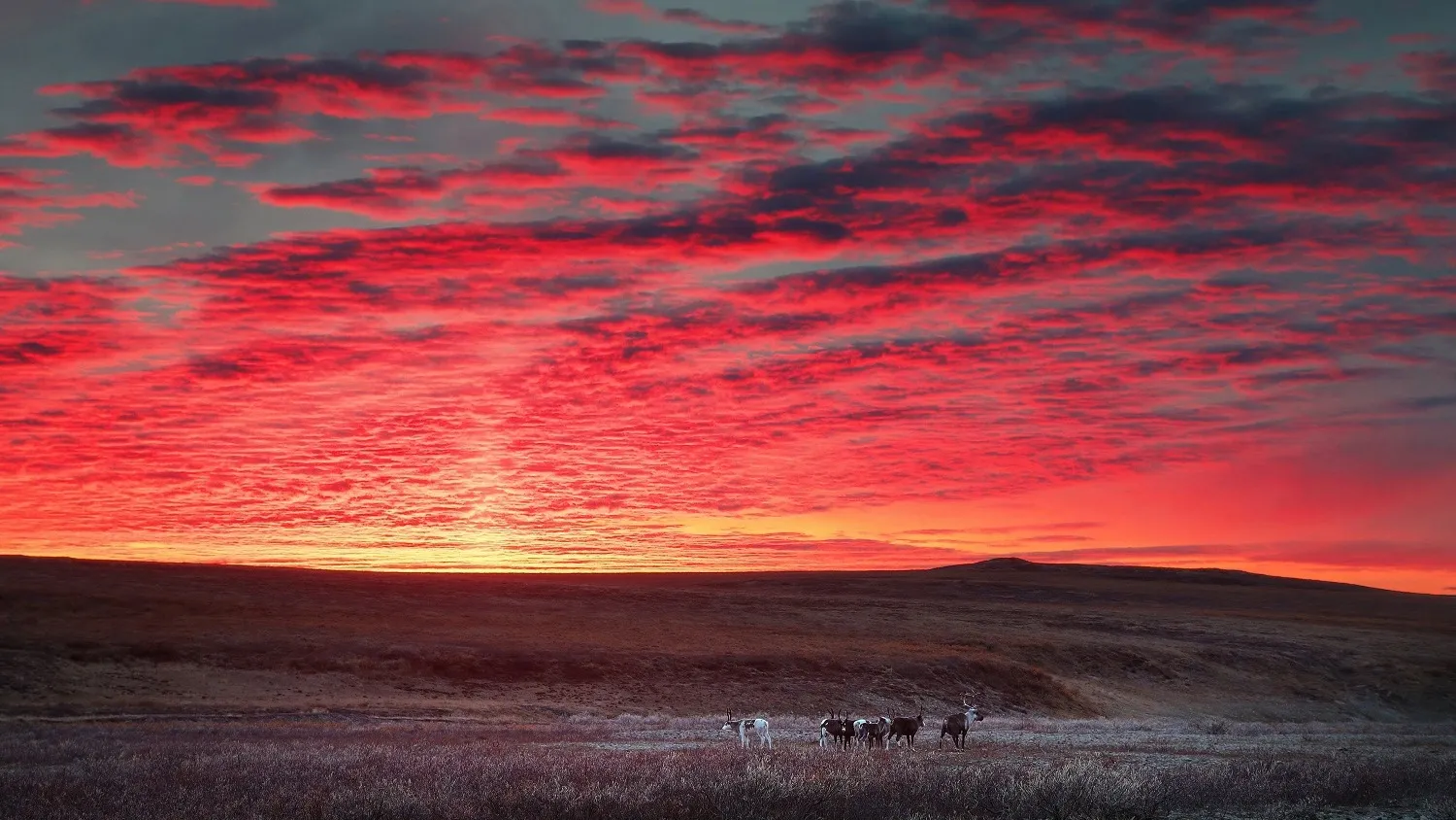 Если 28 декабря рассвет красный — можно загадывать желание. Фото: Andrei Stepanov/Shutterstock/Fotodom