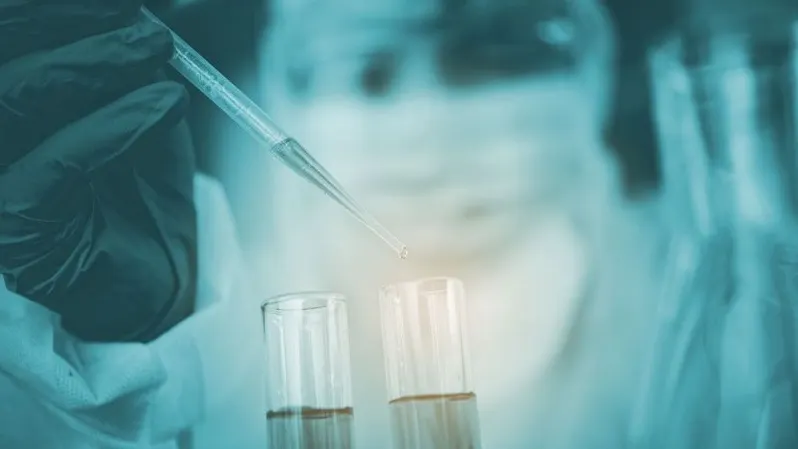 Фото: photobyphotoboy/Shutterstock/Fotodom