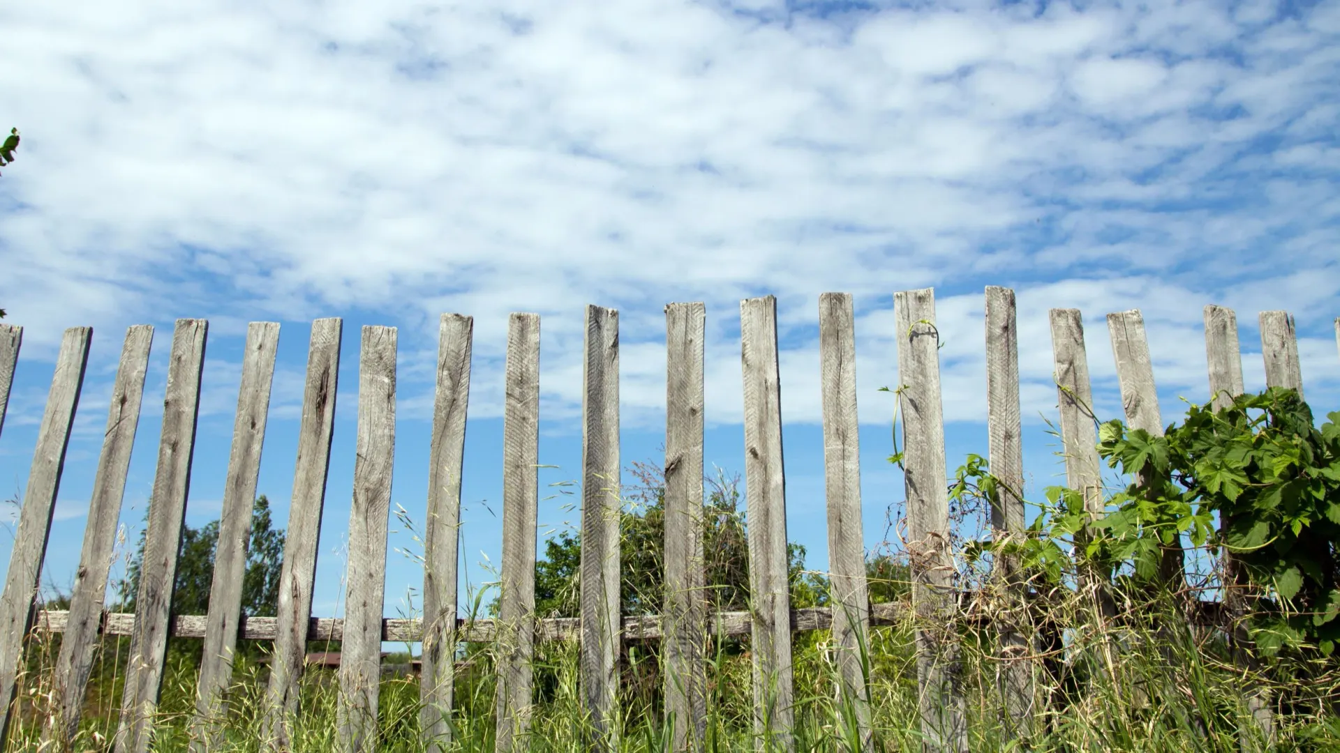 Фото: kzww/Shutterstock/Fotodom