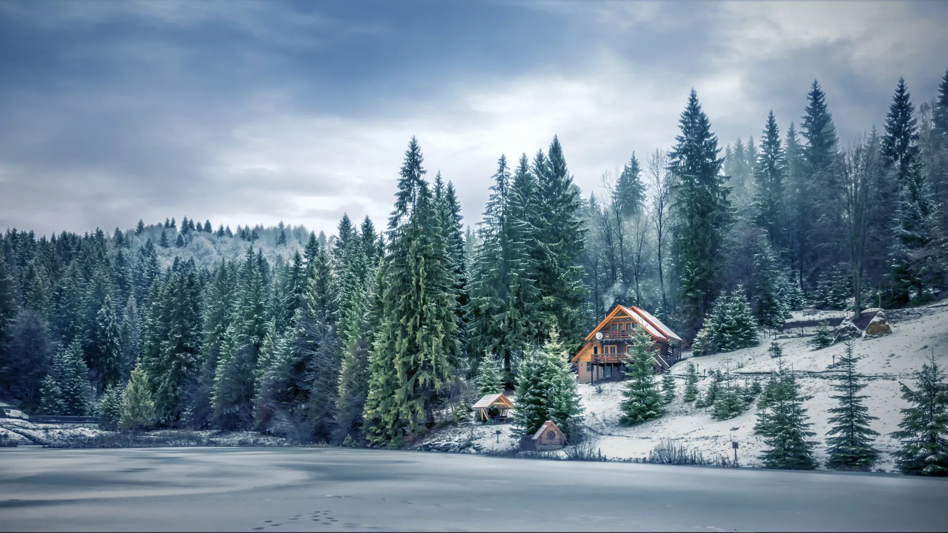 Фото: VIKTOR KHYMYCH/ Shutterstock / Fotodom