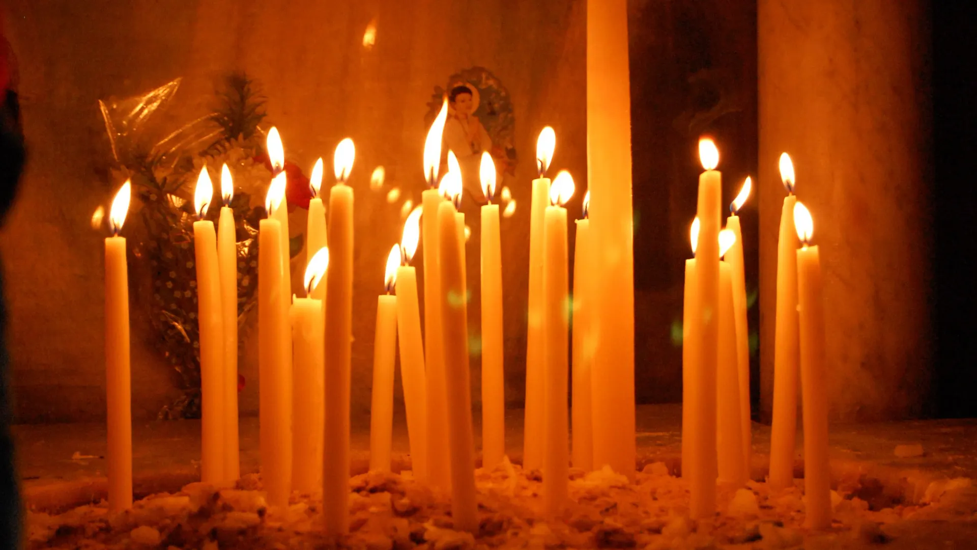 Фото: MariaJose Blazquez / Shutterstock / Fotodom