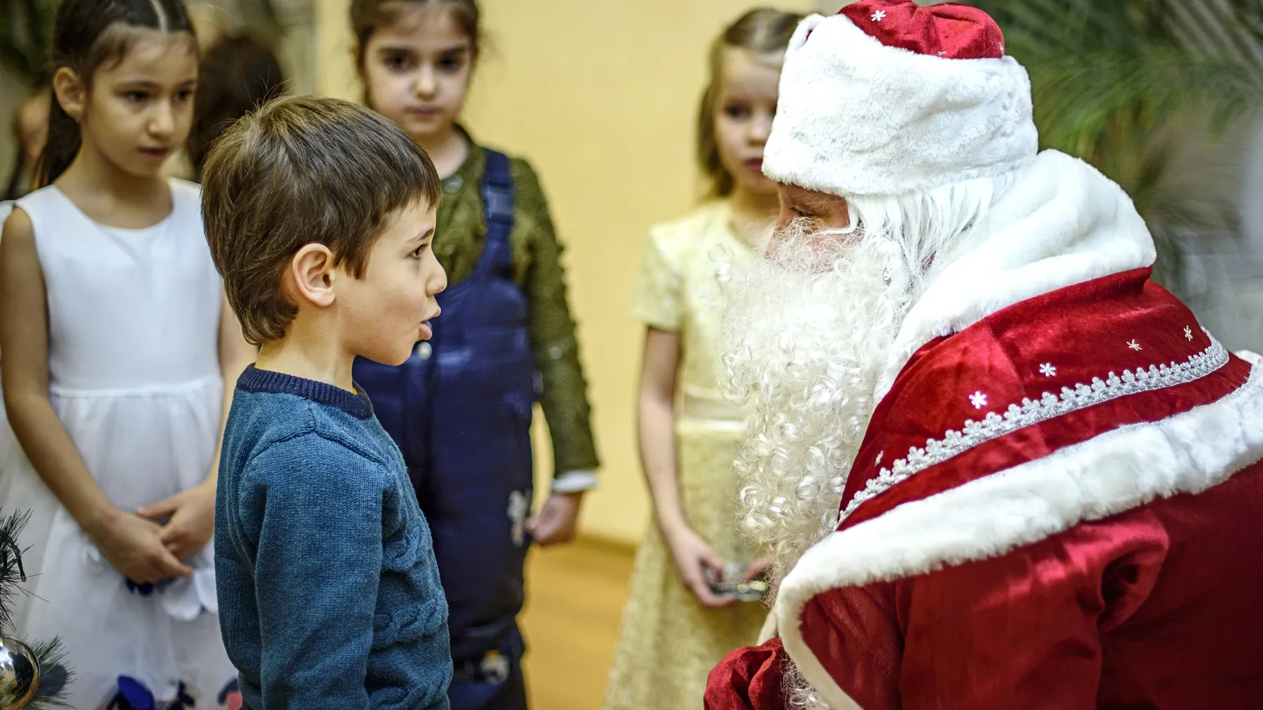 Фото: Tequiero/Shutterstock/Fotodom