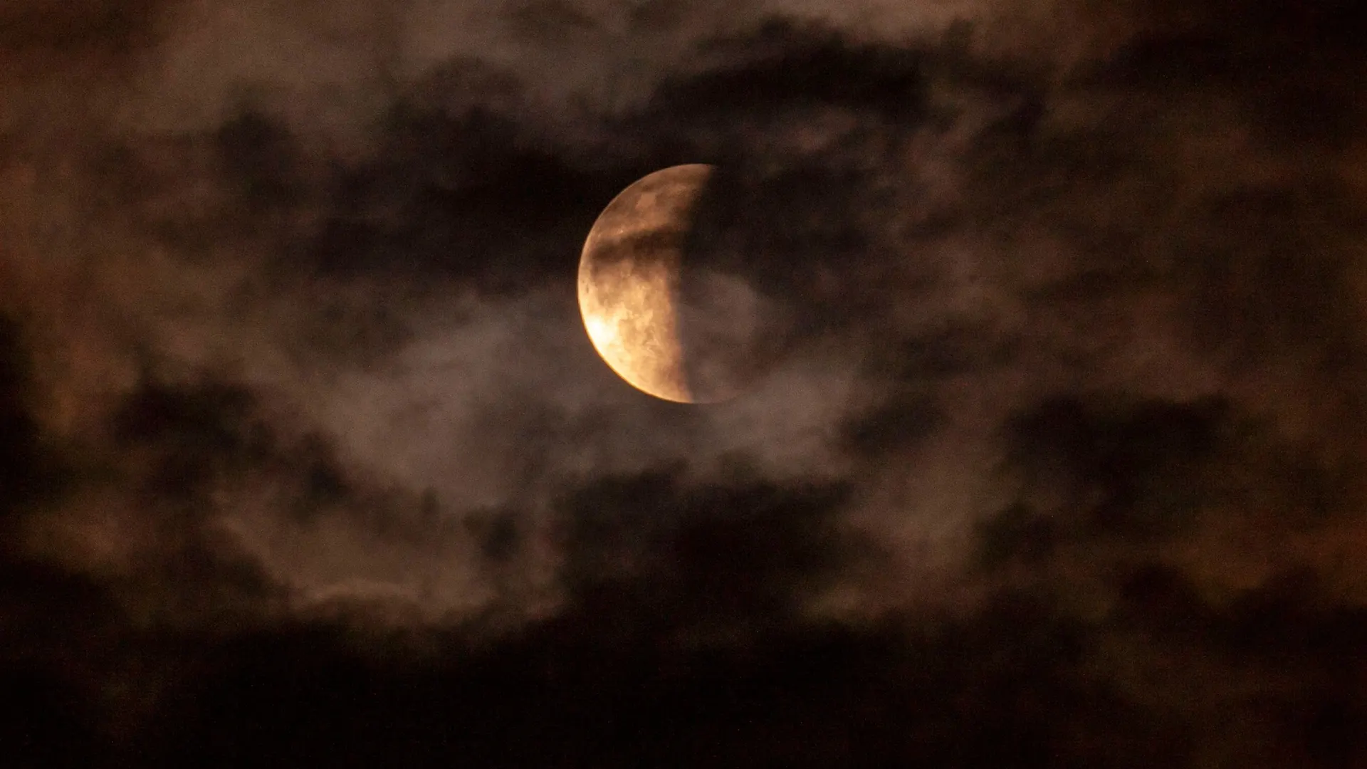 Фото: Octavian Cocolos/Shutterstock/Fotodom