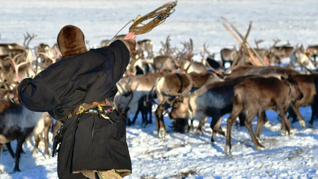 Фото: КРАСНЫЙ СЕВЕР