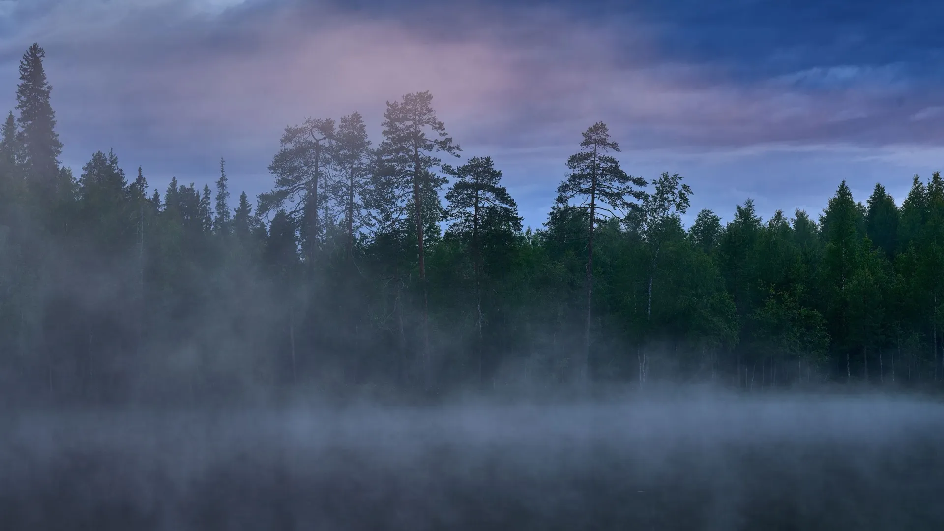 Если опустился туман, погода будет переменчивой. Фото: Ondrej Prosicky / Shutterstock / Fotodom
