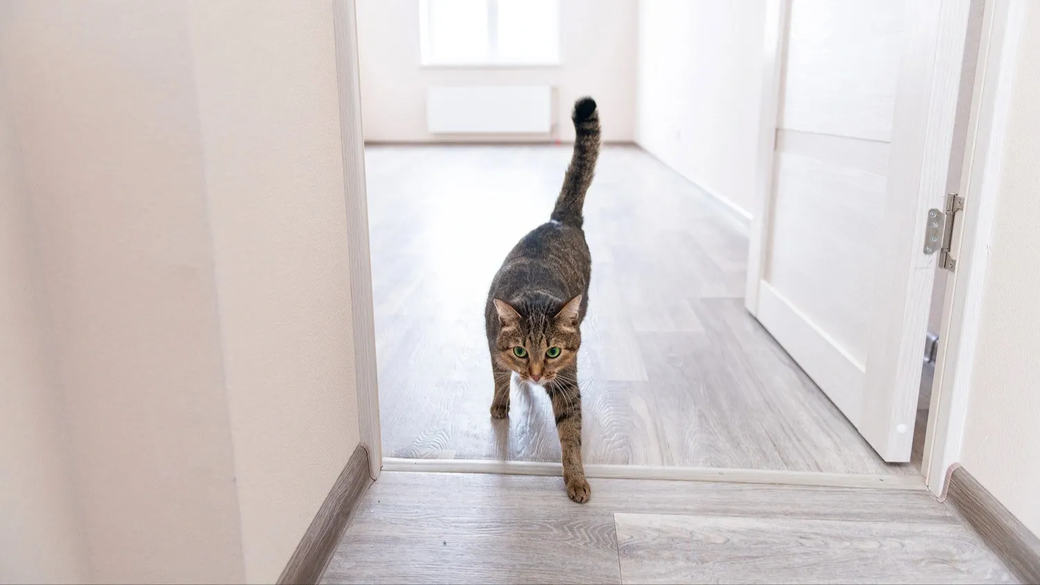 Фото: Анастасия Куманёва / предоставлено пресс-службой губернатора ЯНАО