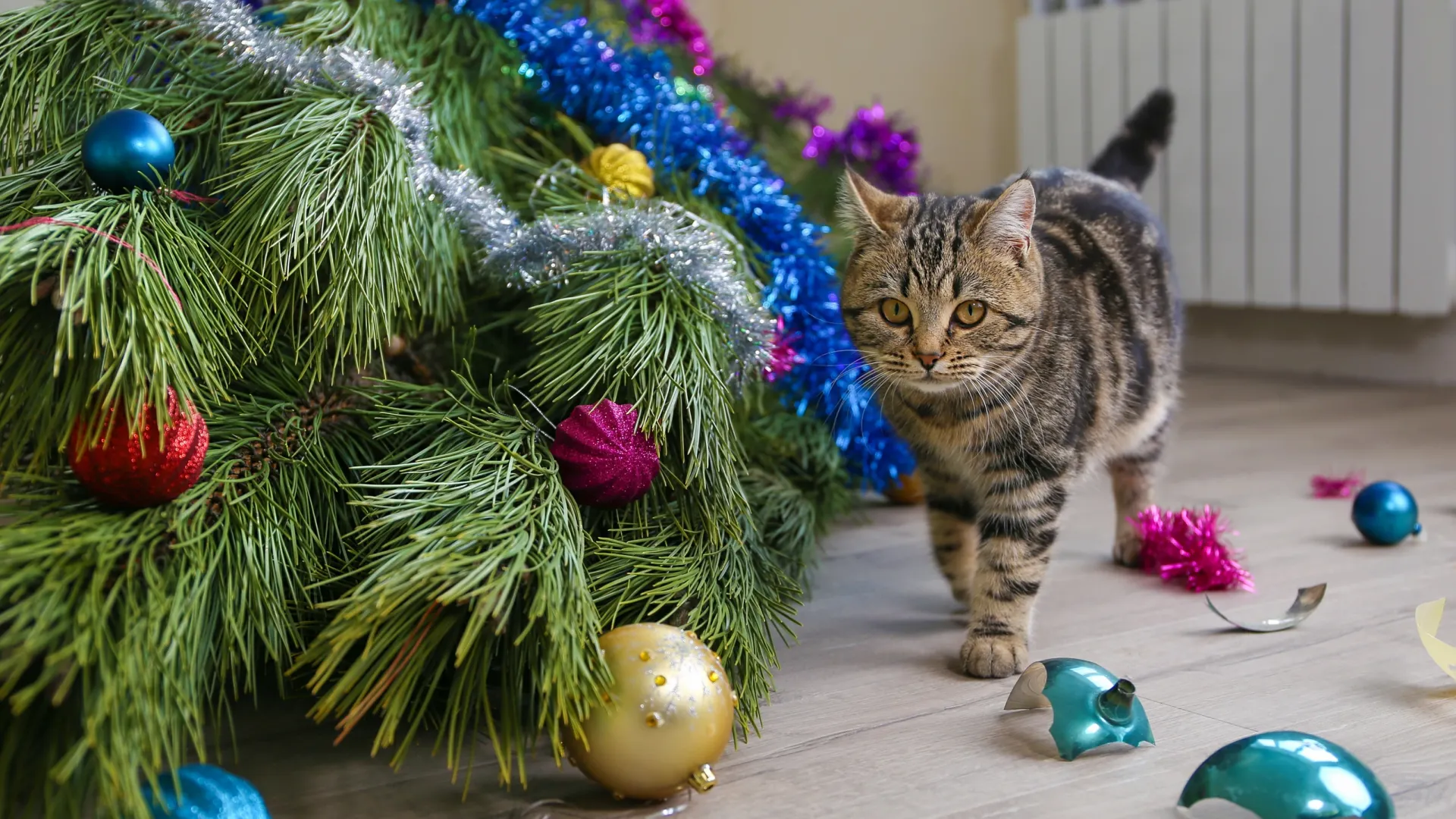 Фото: Victoria 1 / Shutterstock / Fotodom