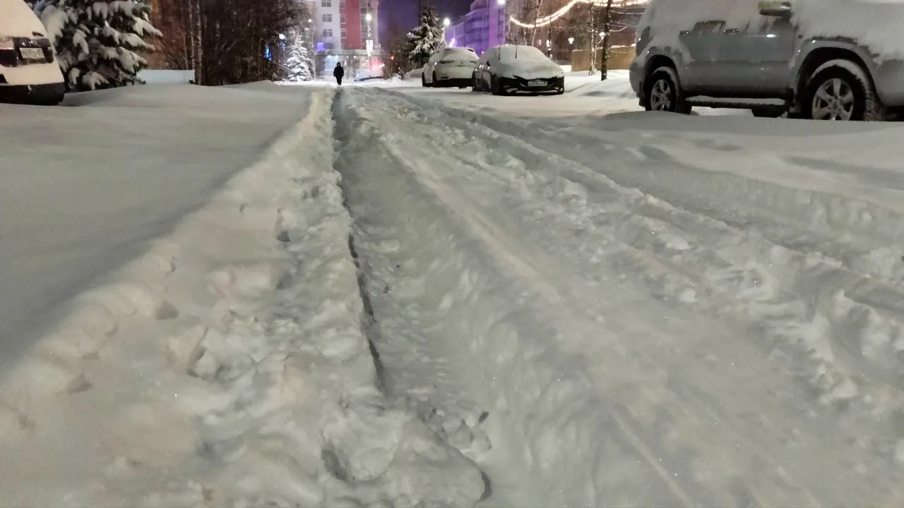 Фото: Владимир Ганчерко / «Ямал-Медиа» 