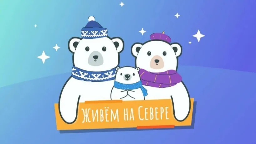 Свое мнение можно выразить на портале "Живём на Север". Фото: живёмнасевере.рф