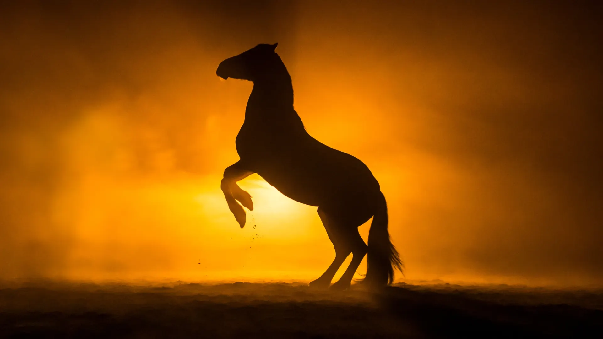 Фото: PIC by Femke / Shutterstock / Fotodom