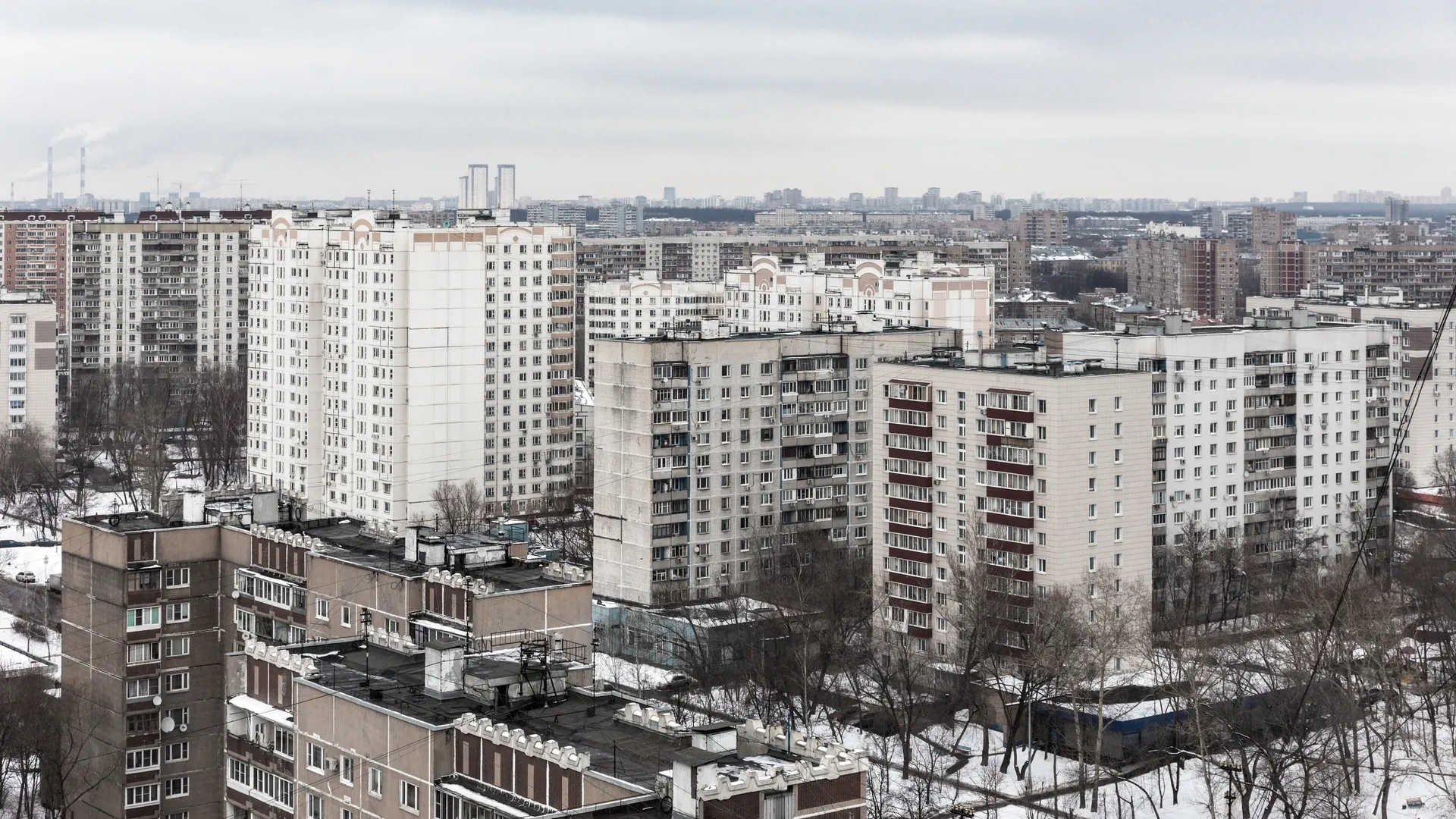 Фото: Gubin Yury / Shutterstock.com